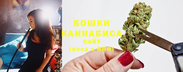 PSILOCYBIN Абаза